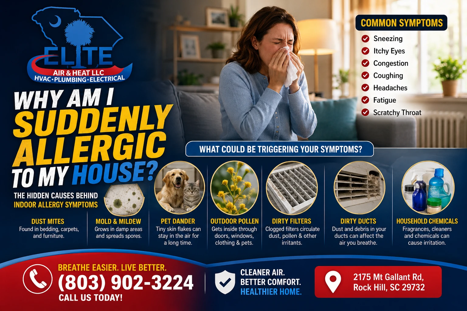 Why Am I Suddenly Allergic to My House?