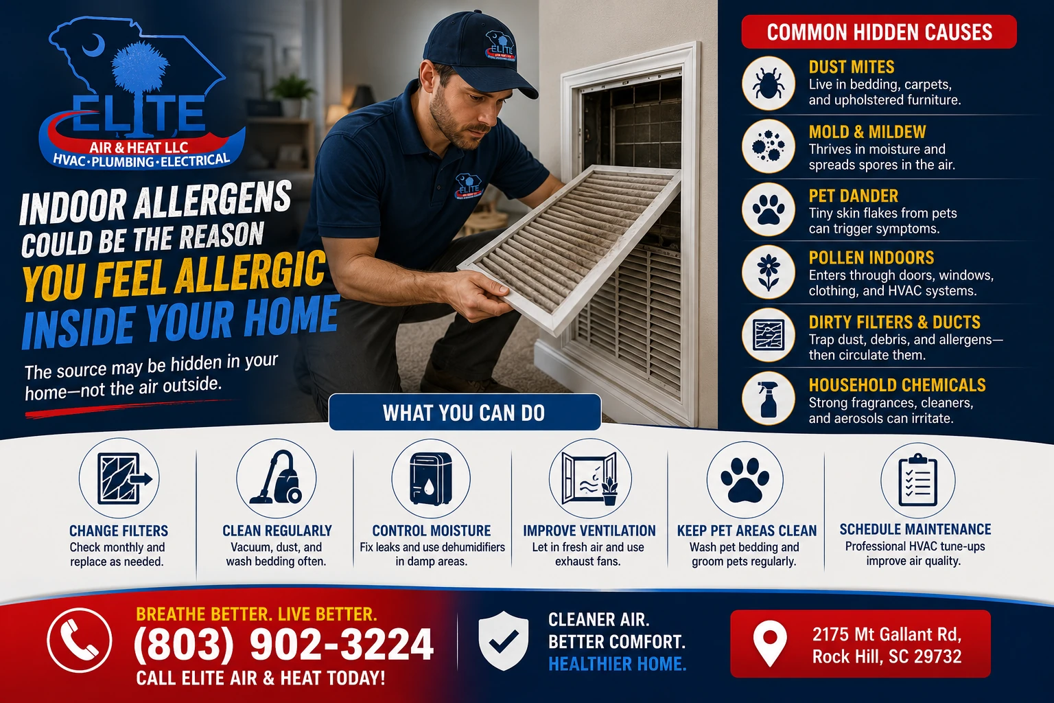 indoor allergens could be the reason you fell allergic inside your home