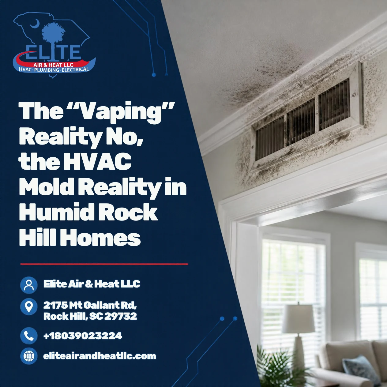 The “Vaping” Reality No, the HVAC Mold Reality in Humid Rock Hill Homes