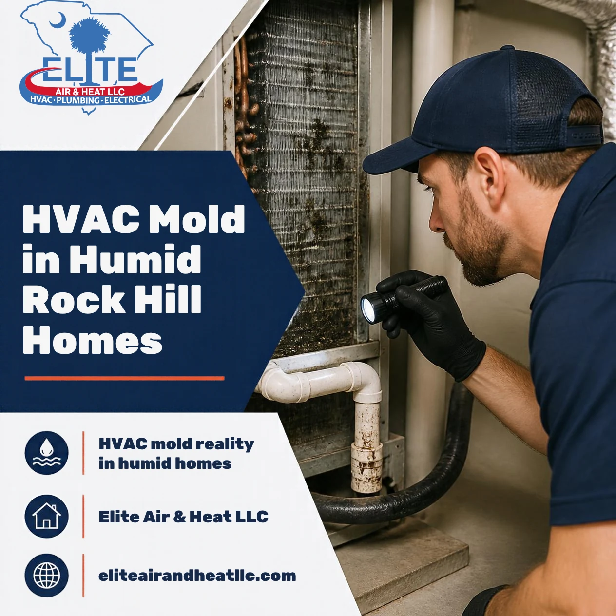 The “Vaping” Reality No, the HVAC Mold Reality in Humid Rock Hill Homes
