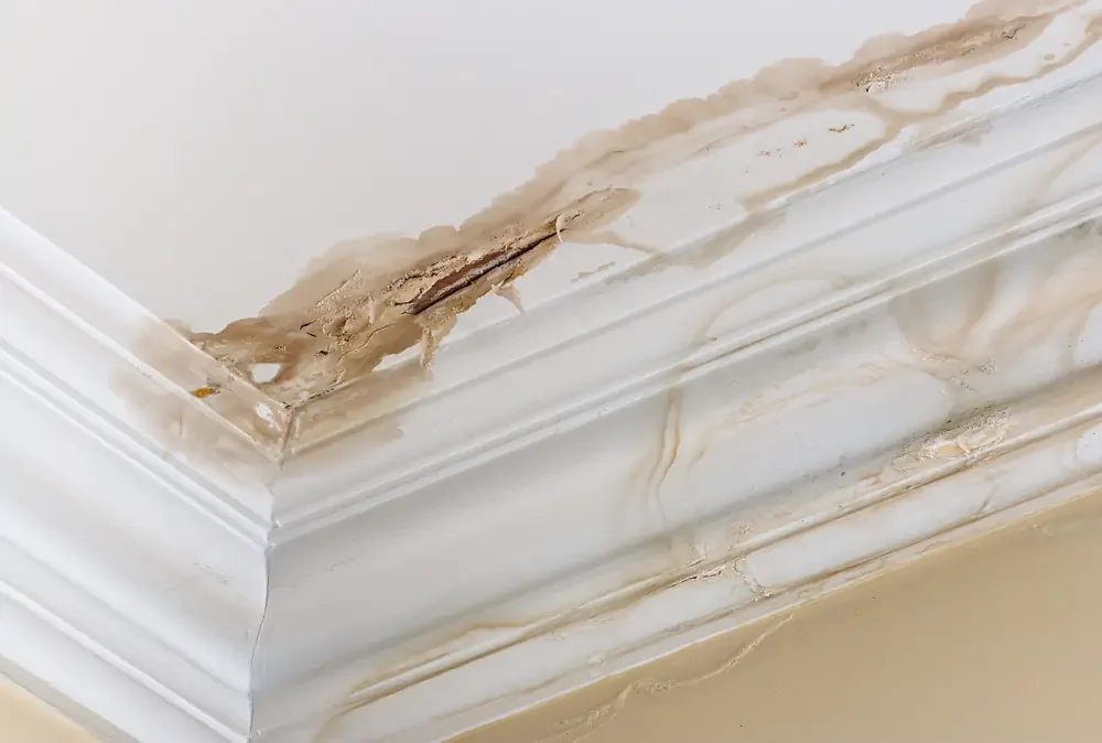 Repiping Services Rock Hill SC - Content